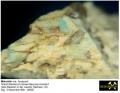 Mikroklin Var. Amazonit - Granit-Stbr. Soraer Berg bei Arnsdorf, Lausitz, Sachsen, (D) - Slg. D.Neumann BNr. 00055.JPG